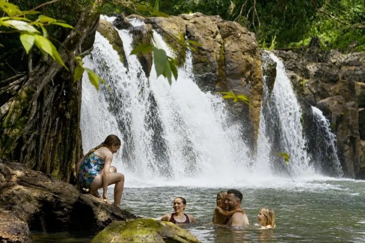 Family swimming near a waterfall in a lush forest setting.