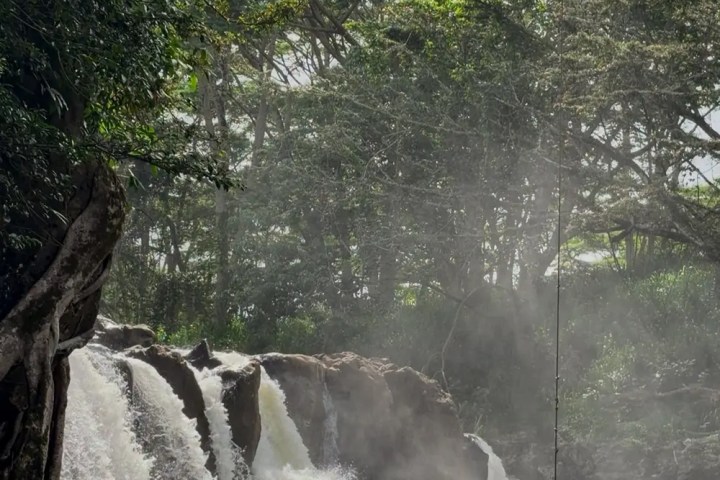 Waterfall cascading into a pool, surrounded by lush green trees.