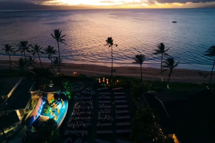 Sunset view of beachside pool, palm trees, and ocean.